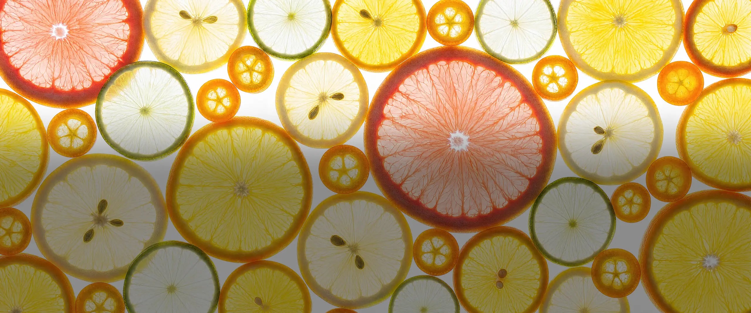 Bannière accueil desktop agrumes 2560px, image générée 4k, voile sombre, 291 ko
